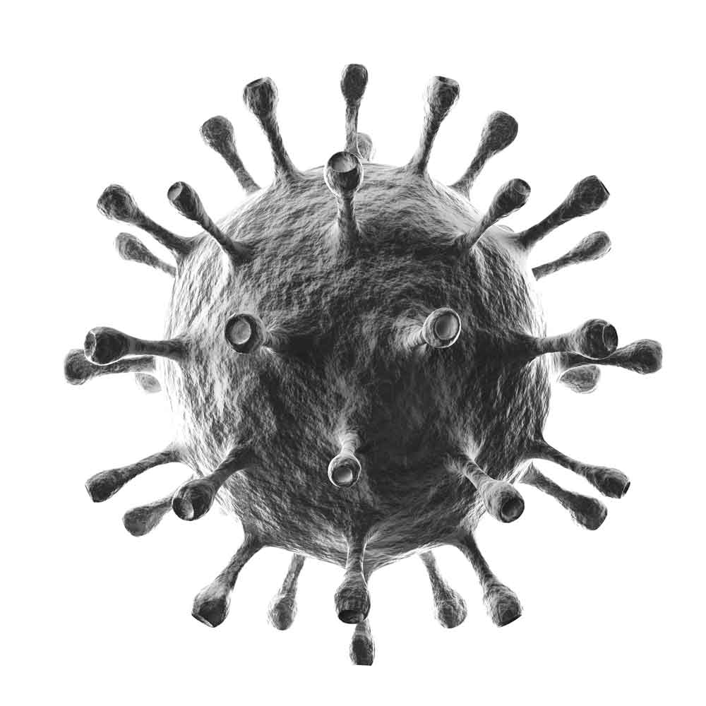virus-oder-bakterie