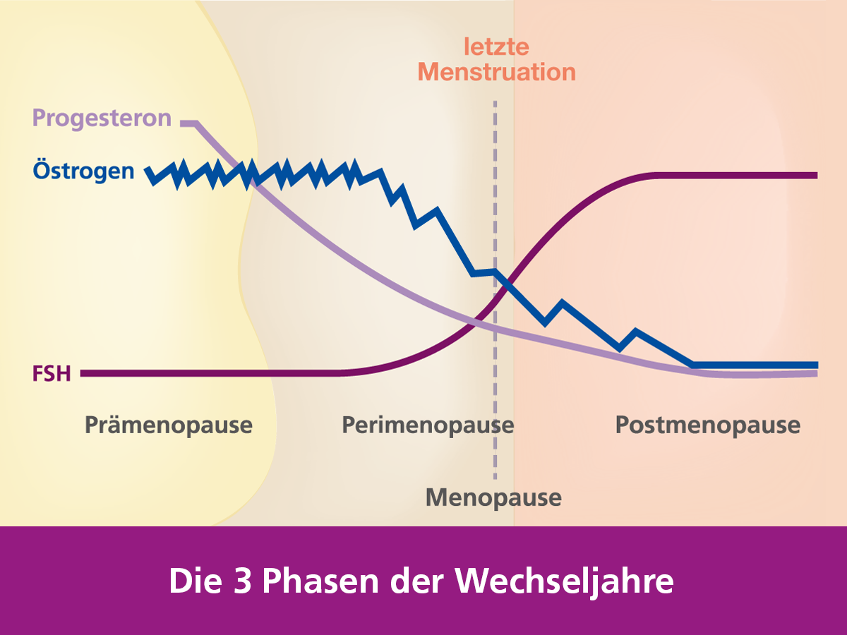 Menopausenkurve_1200x900